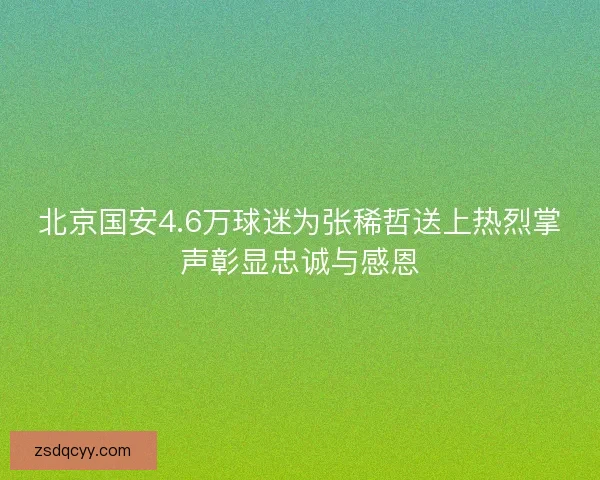 北京国安4.6万球迷为张稀哲送上热烈掌声彰显忠诚与感恩
