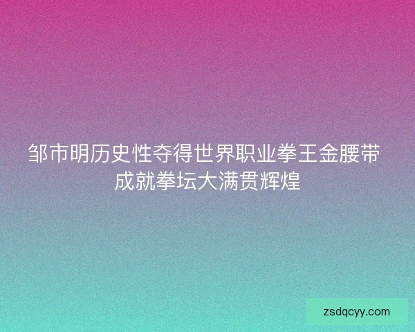 邹市明历史性夺得世界职业拳王金腰带 成就拳坛大满贯辉煌